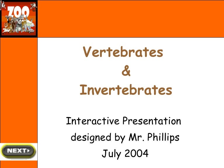 vertebrates and invertebrates venn diagram vertebrates invertebrates