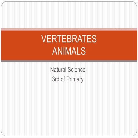Vertebrates animals