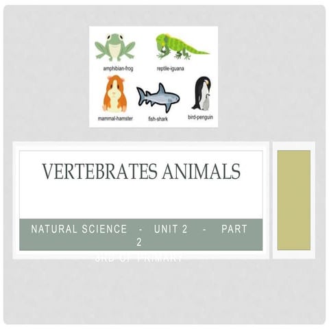 Vertebrates  animals part 2