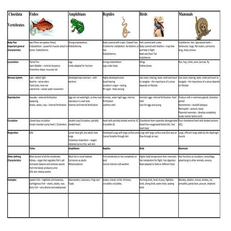 Chordate visual data 6