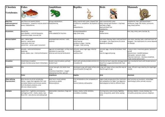 Vertebrates And Invertebrates Chart