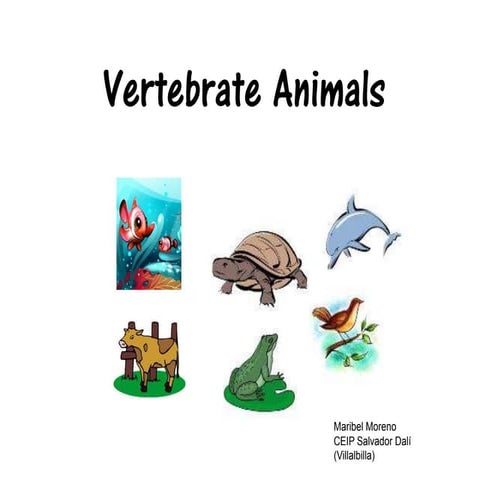 Vertebrates classification maribel