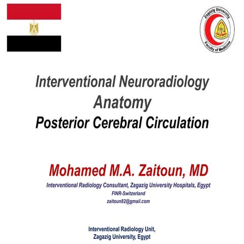 Anatomy of the posterior cerebral circulation
