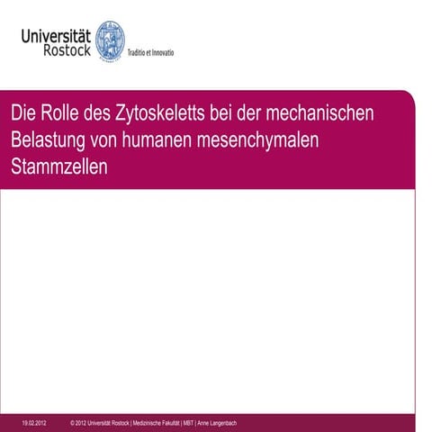 Die Rolle des Zytoskeletts bei der mechanischen Belastung von humanen mesench...
