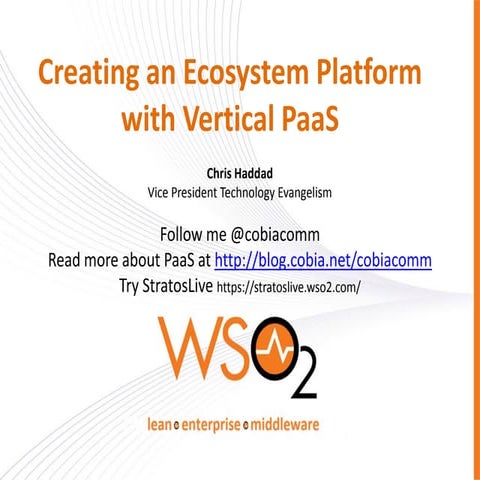 Creating an Ecosystem Platform with Vertical PaaS