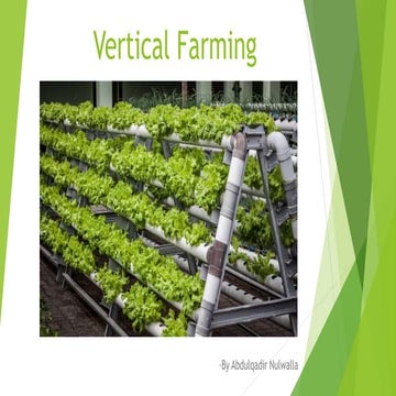 Vertical farming - Hydroponics Seminar report