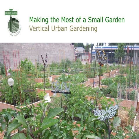 Vertical gardening 101