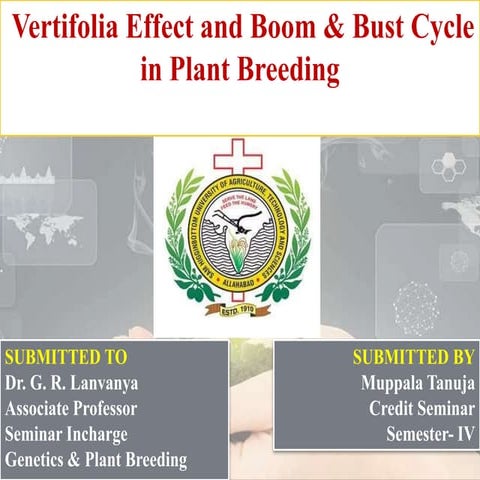 Vertifolia effect and boom and bust cycle