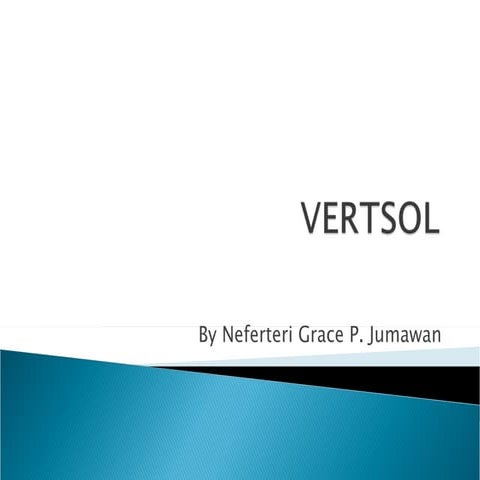Vertsol1.0