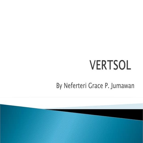 Vertsol1.1