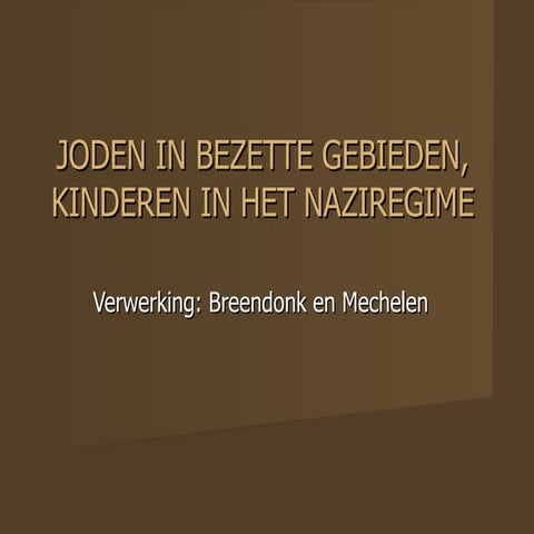 4.3 de holocaust, Diepenhorst | PPT