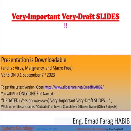 OUTDATED Very-Important Very-Draft SLIDES - Ver 0.1.pdf