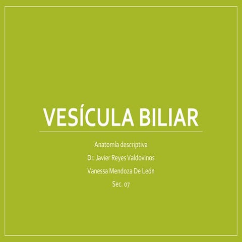 Vésicula Biliar y vías biliares.