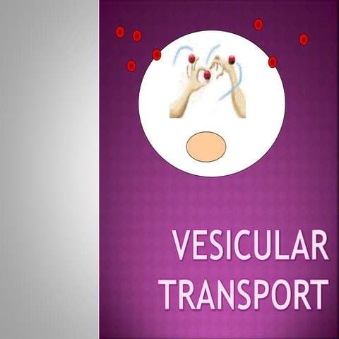 Vesicular transport