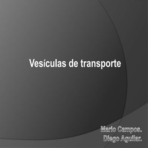 Vesiculas