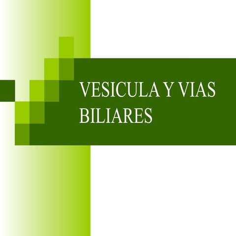 Vesicula Y Vias Biliares
