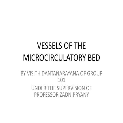 Anatomy of the Microcirculatory Bed 
