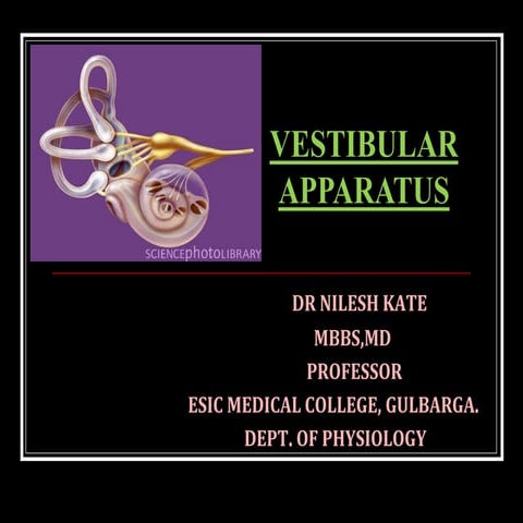 Vestibular apparatus