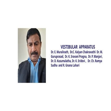 Vestibular Apparatus._structure_function