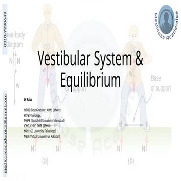 Balance and Equilibrium - The Vestibular System | PDF