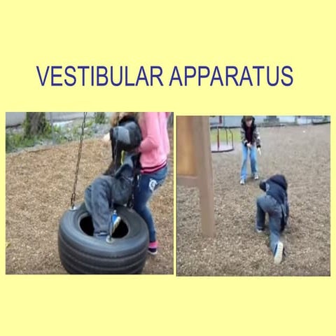 Anatomy of vestibular system.pptx