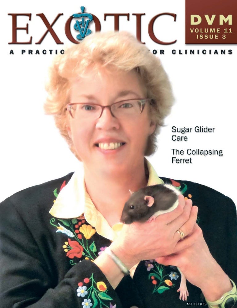 vets that treat sugar gliders near me