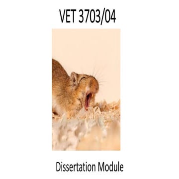 VET3703 Dissertation: Literature searching support (2022)
