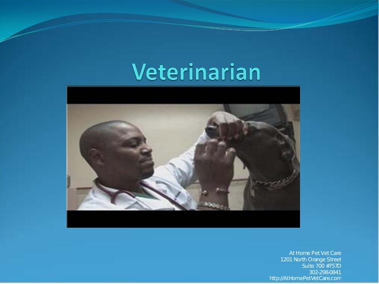 at home emergency vet