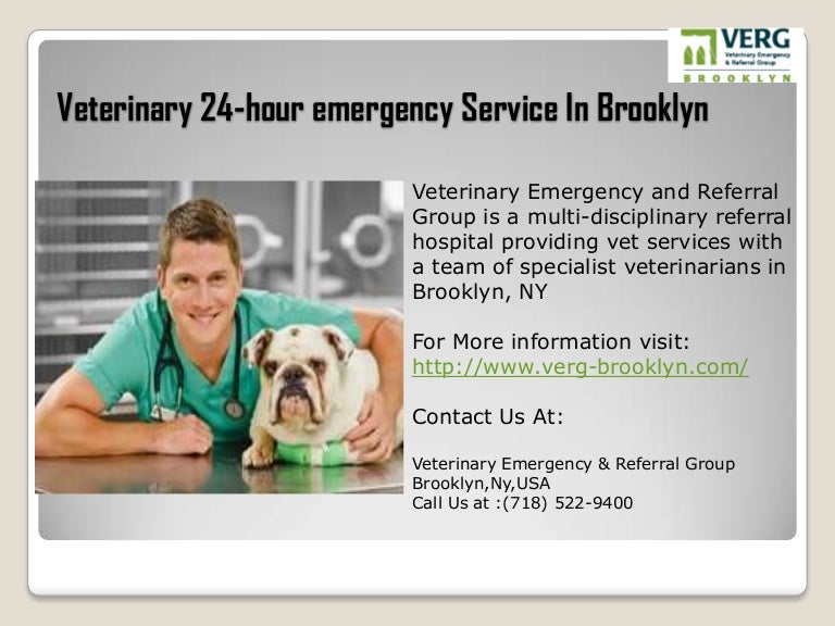 Veterinary 24 hour emergency