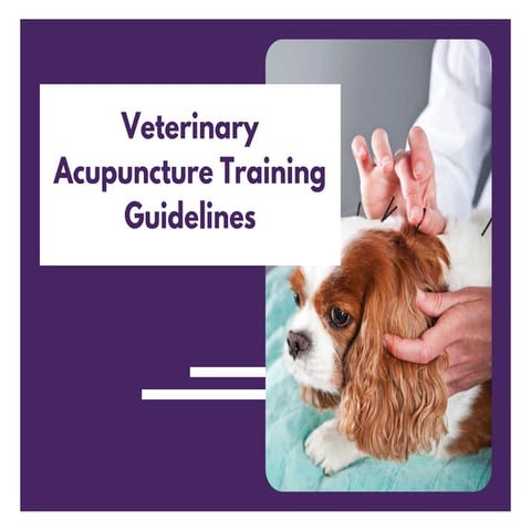 Veterinary Acupuncture Training Guidelines | PDF