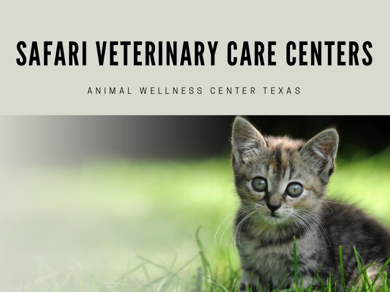 Veterinary clinic league city safari veterinary care centers