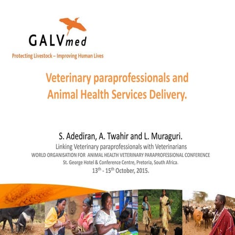 Veterinary paraprofessionals and animal health services delivery