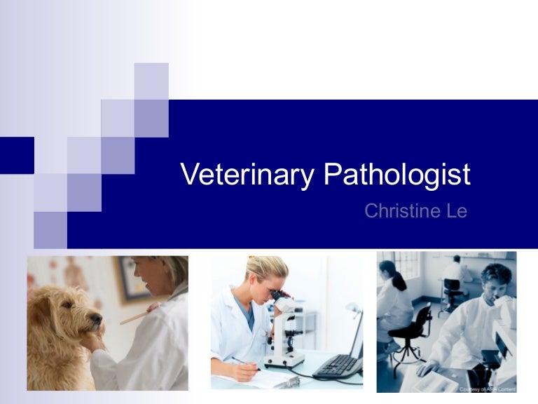 Veterinary pathologist