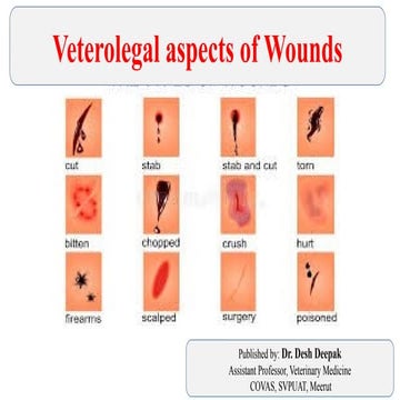 Classification of wounds | PPT