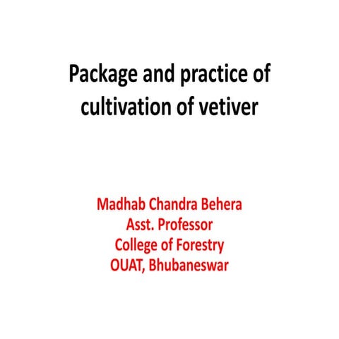 Vetivar cultivation