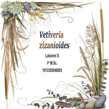Vetiveria zizanioides