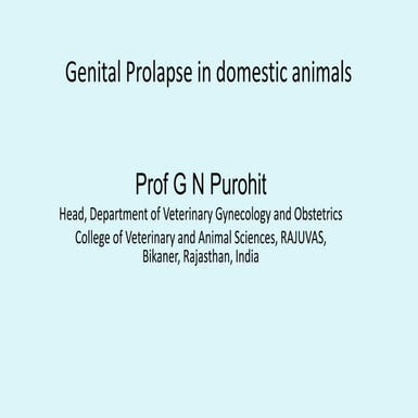 Vet obst lecture 13 Genital prolapse in domestic animals