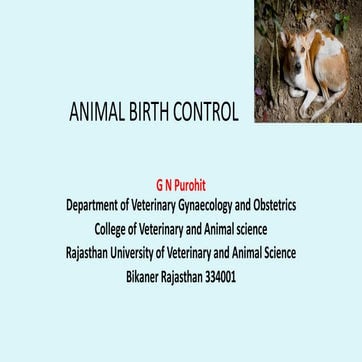 Vet obst lecture 16 Animal birth control