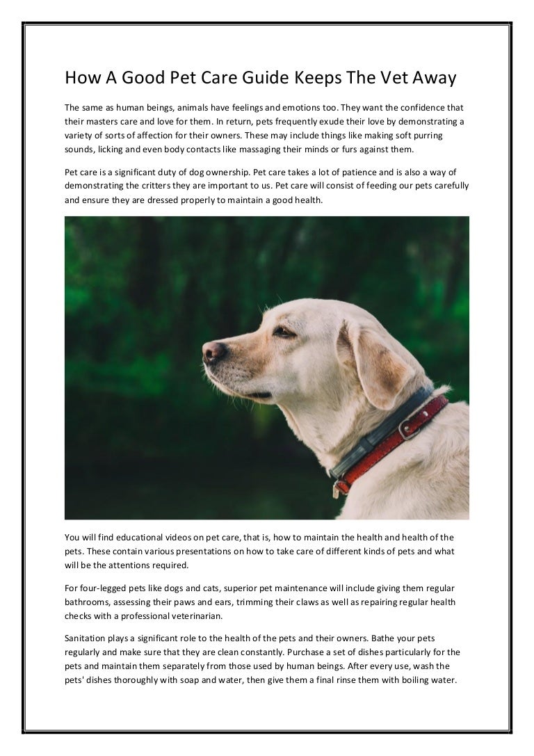 cheapest place to buy sentinel for dogs