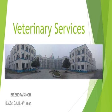 Vets services in society
