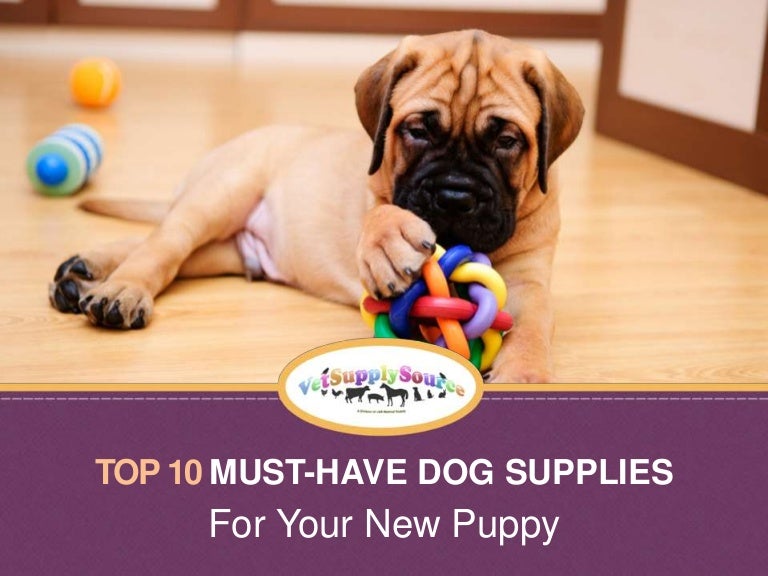 Top 10 MustHave Dog Supplies For Your New Puppy