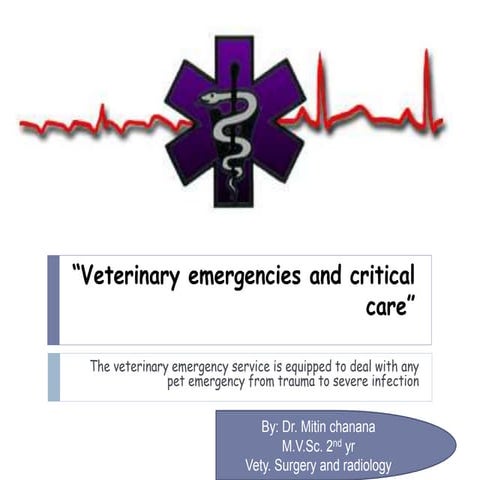 Vety.emergency and critical care