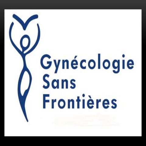 Stratégie hospitalière de lutte contre les violences faites aux femmes