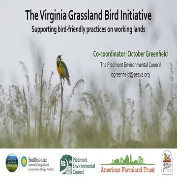 Virginia Grassland Bird Initiative