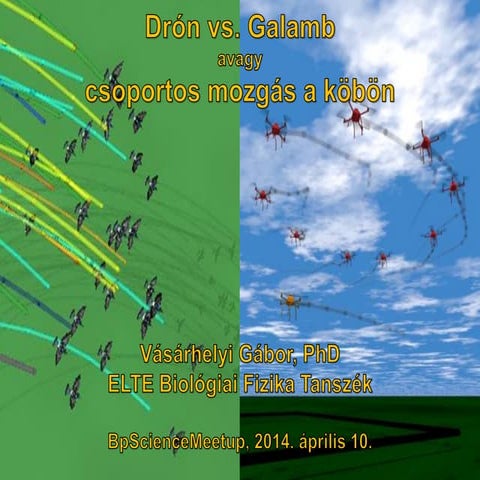 BpSM 2014.04. - Vásárhelyi Gábor: Drón vs. galamb - csoportos mozgás a köbön