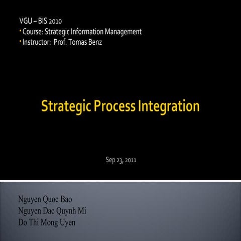 Strategic Process Integration