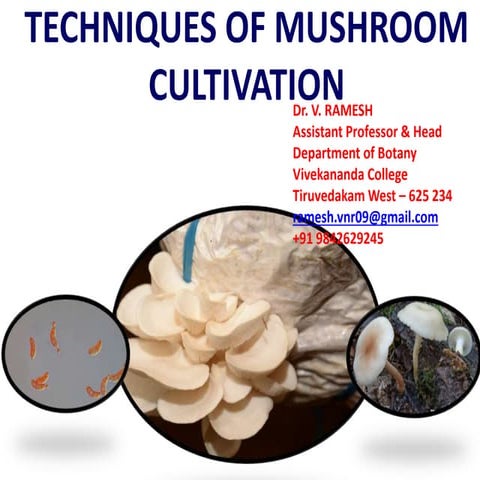 MUSHROOM CULTIVATION | PPT