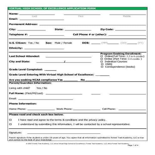 VIRTUAL HIGH SCHOOL OF EXCELLENCE APPLICATION FORM | PDF