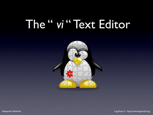 The "vi" Text Editor
