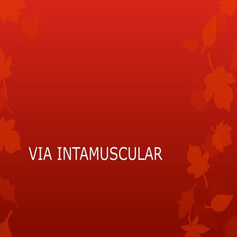 VIA DE ADMINISTRACION INTRAMUSCULAR final.pptx